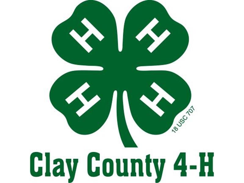 Results 2024 Clay County 4 H FFA Fair FairEntry