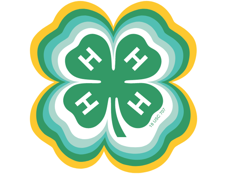 Logo for 2026 Sullivan County 4-H Fair