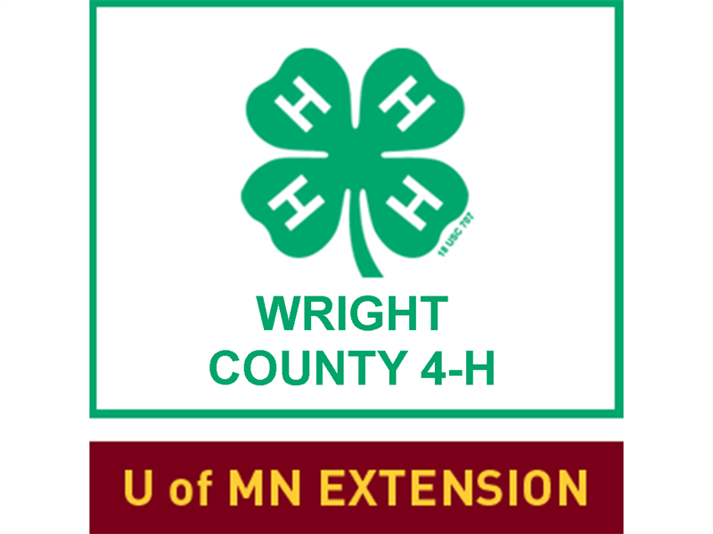 Logo for 2026 Wright County Fair